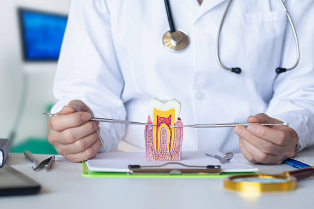 Best Emergency Wisdom Teeth Removal in Rock Falls, IL